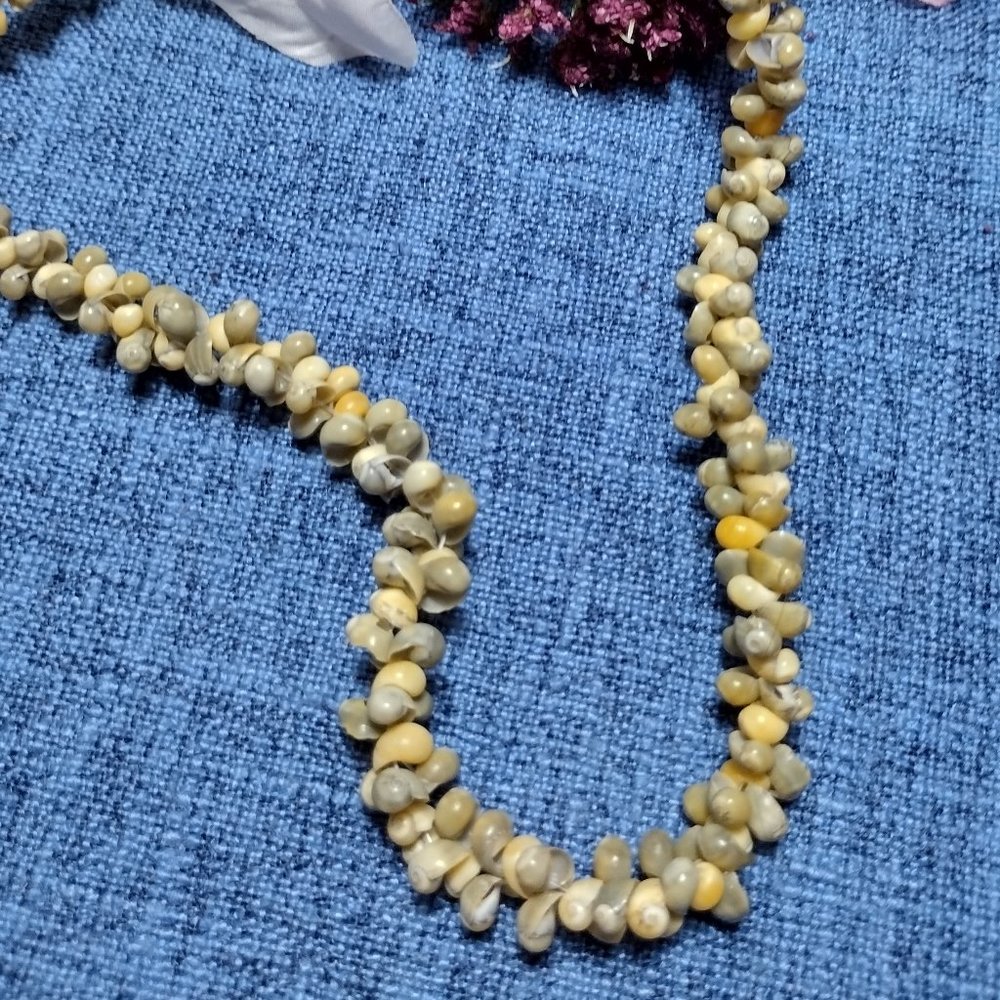 Single Strand Shell Necklace